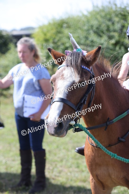 20250831-3393 - Class 25 - Cutest Pair