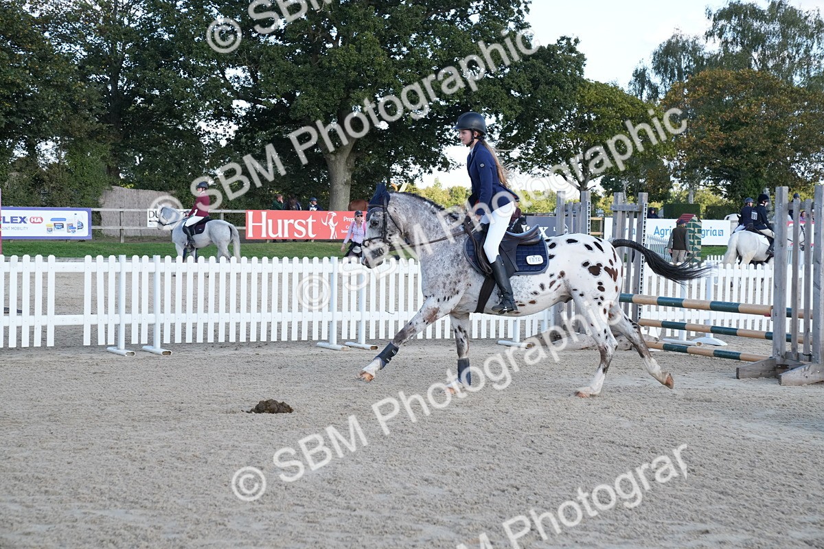 SBM_28068 - J43 - Super Speedy Scurry Open - 60cm