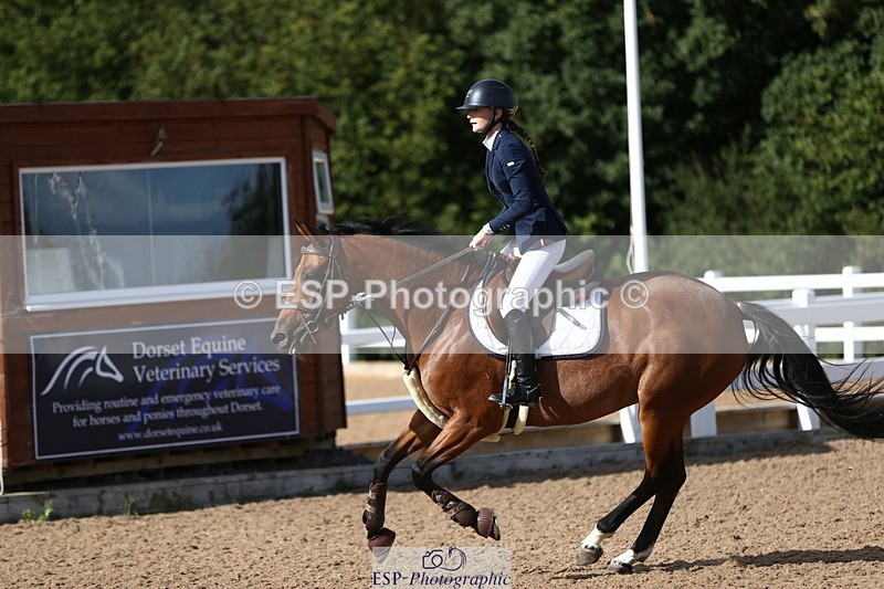 230811A-093113-02872 - Cls 13 A&B Snr Brit Nov & 90cm Open