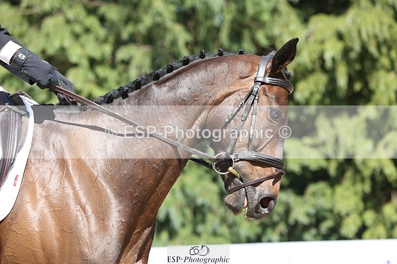 230526-151913-06672 - 380-PUBLIC_ADDRESS-Tom_Strawson-WEDTrotUp+DR