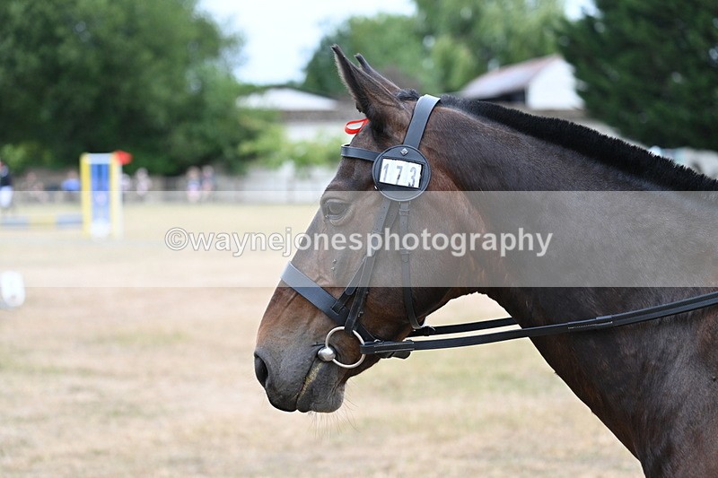 WJ7_1353 - Class 8 Ridden Veterans