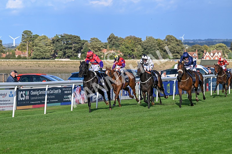 240924-Race 7-It Just Takes Time-6903 - Race 7