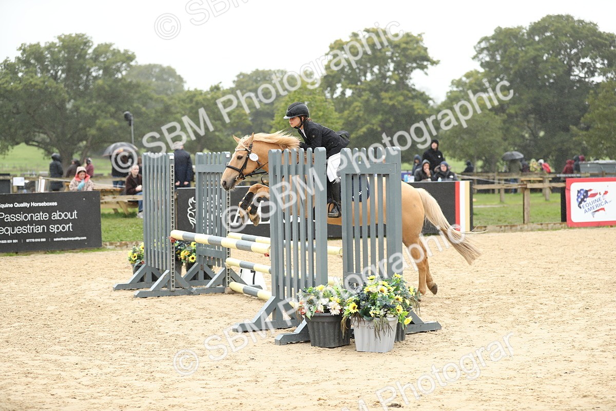SBM_73695 - J16 - Junior Pony 75cm Championship