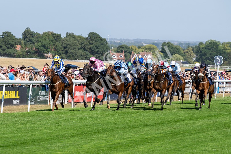 120826-Race 3-Sir David-6099 - Race 3 15.15pm Clearanswer Call Centres Handicap