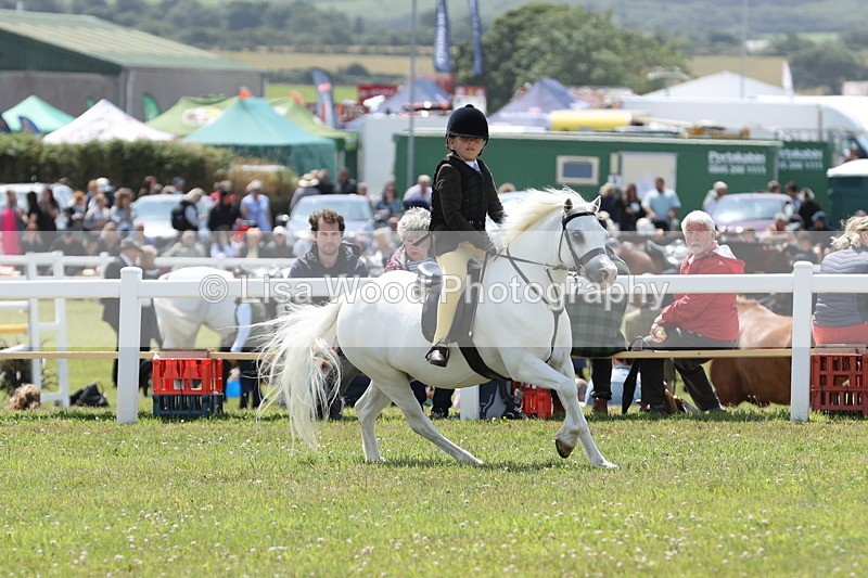 JPP_1845 - Class 18: Tiny Tots Working Hunter Pony