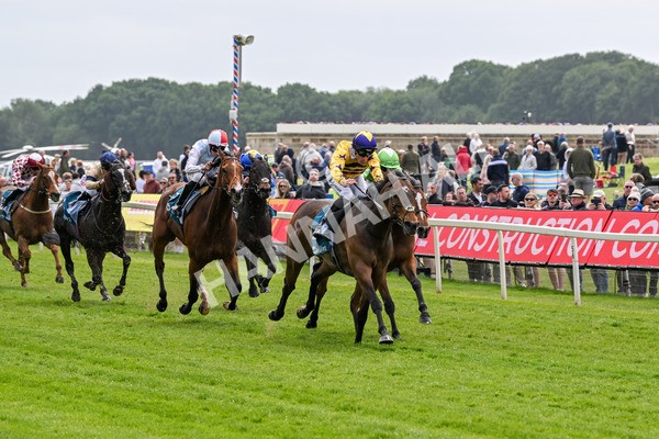 150525-American Affair-3678 - Race 1 2.10pm Lindum York Handicap