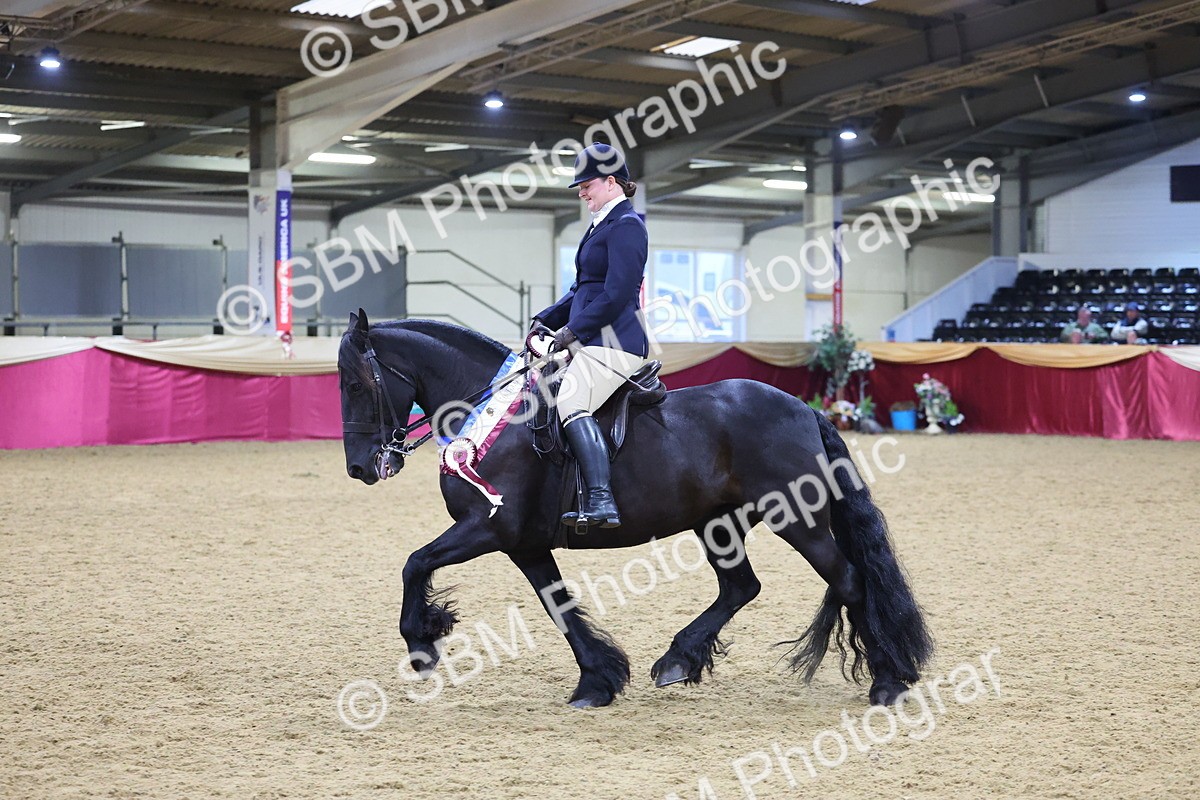 SBM_19307 - Class K Equitation Champ