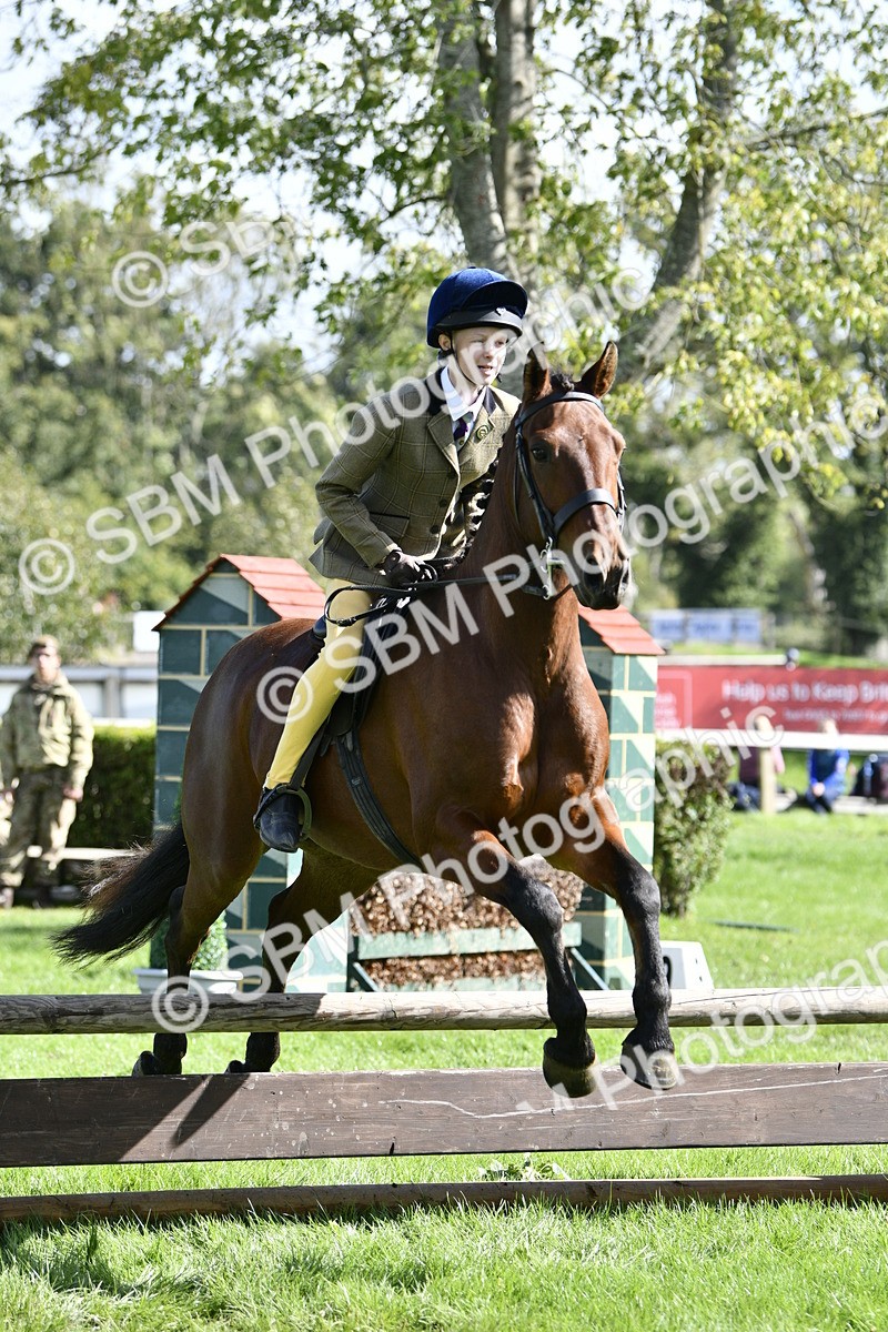 SBM_45708 - S33 - Working Hunter Pony