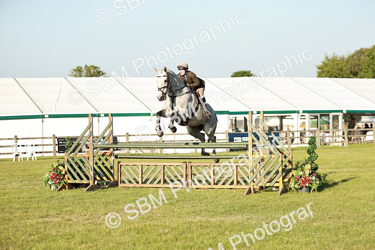SBM_20421 - Class 117-119 - Sport Horse Working Hunter