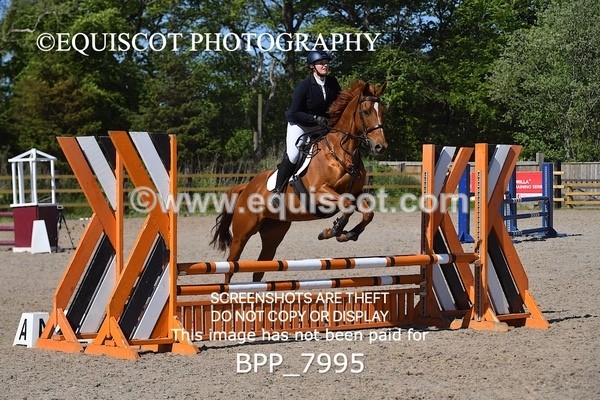 BPP_7995 - CLASS 2 Club/ Unaffiliated 80cms Open