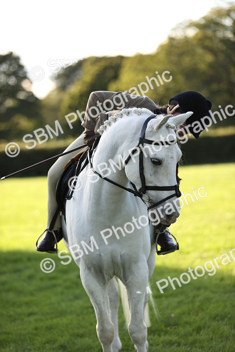 SBM_29644 - S7 - Novice & Newcomers Ridden Pony