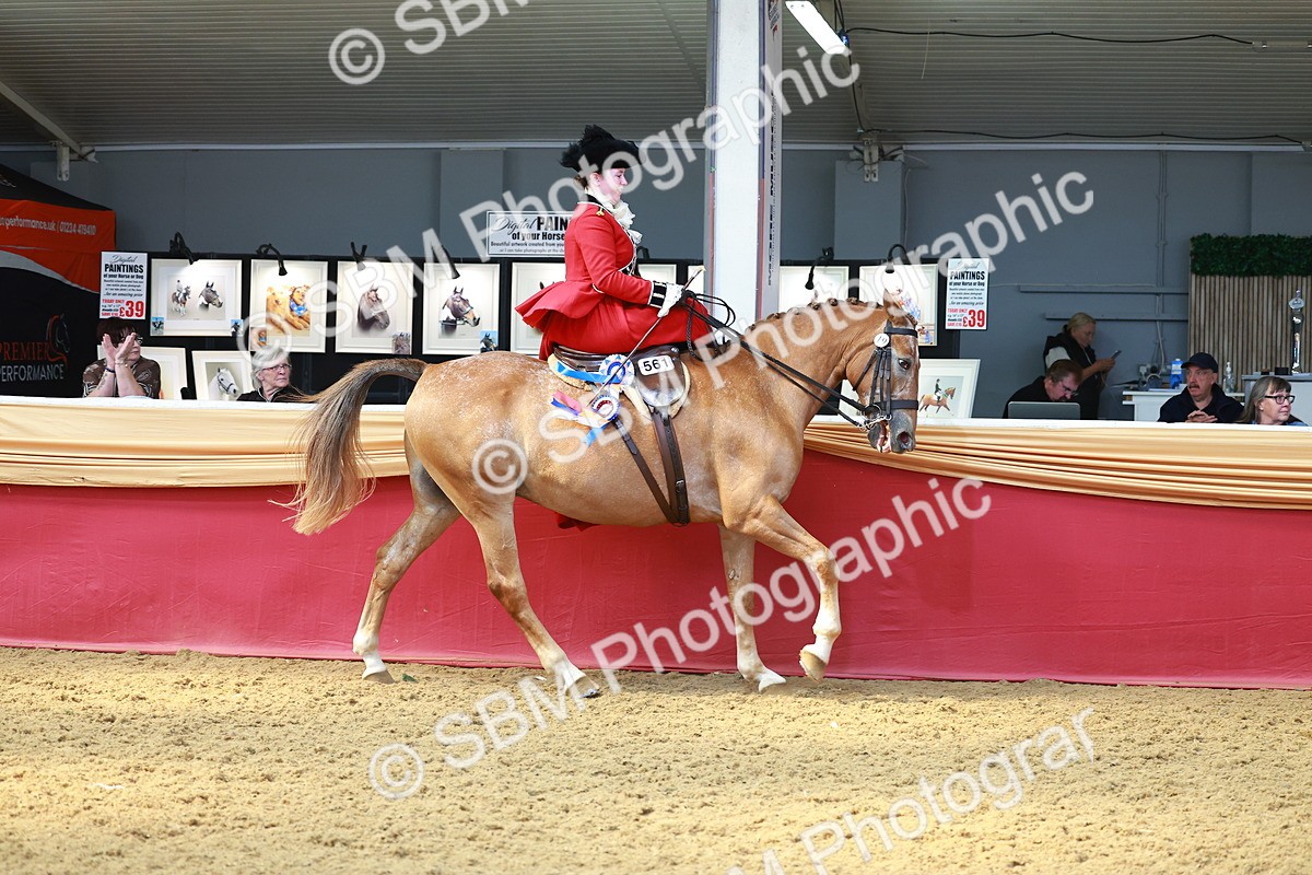 SBM_13934 - Class 106 - Ridden Costume - Side Saddle