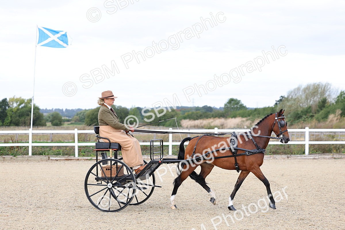SBM_000238 - Class 2 - Exercise Vehicle 13.2hh & Under