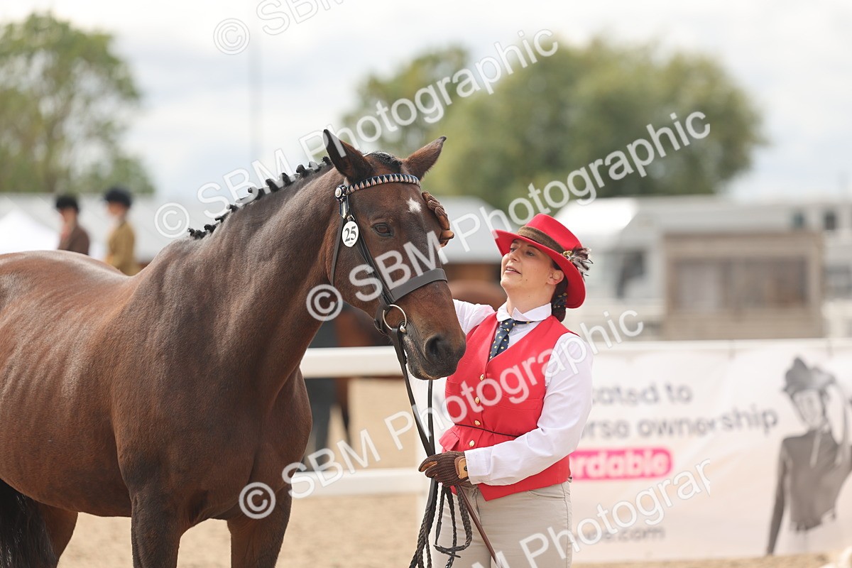 SBM_16986 - Class 312 - IH Competition Horse-Pony