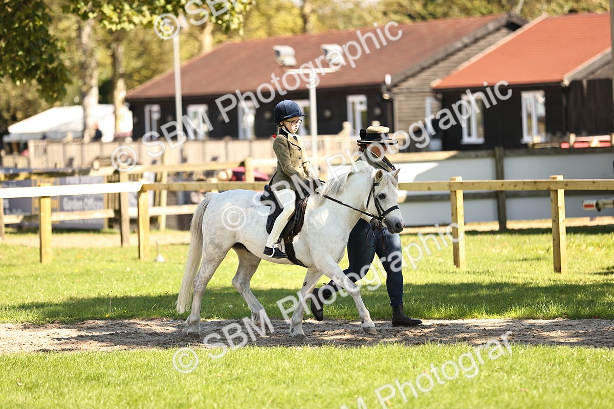 SBM_19310 - S3 - TSR Ridden Pony Showing