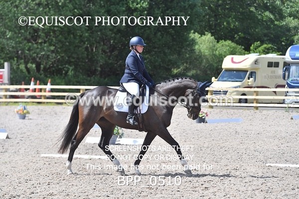 BPP_0510 - MFS NOVICE