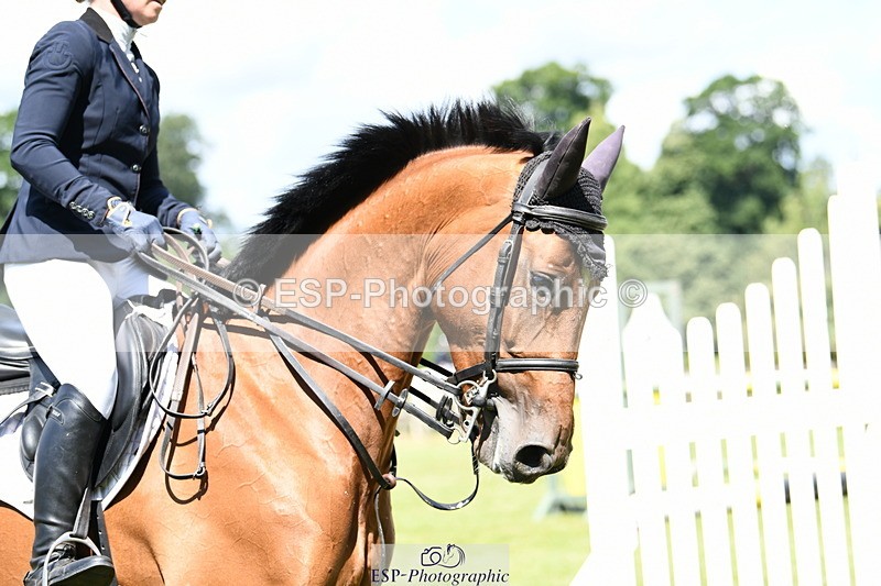 250703A-105038-00565 - Cls 11 5 Year Old