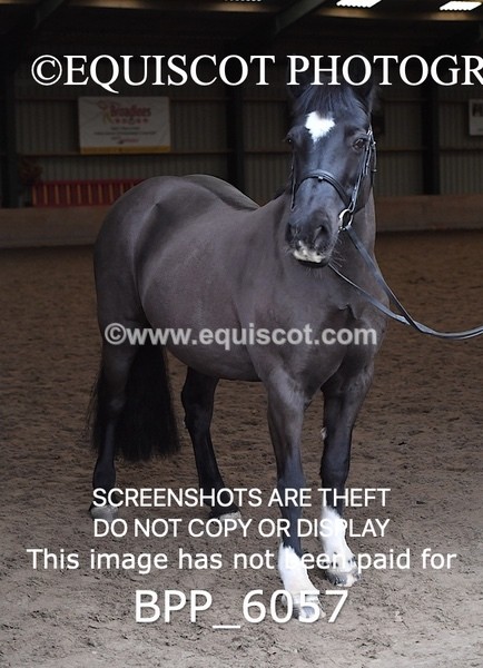 BPP_6057 - Erin Hancock ×2