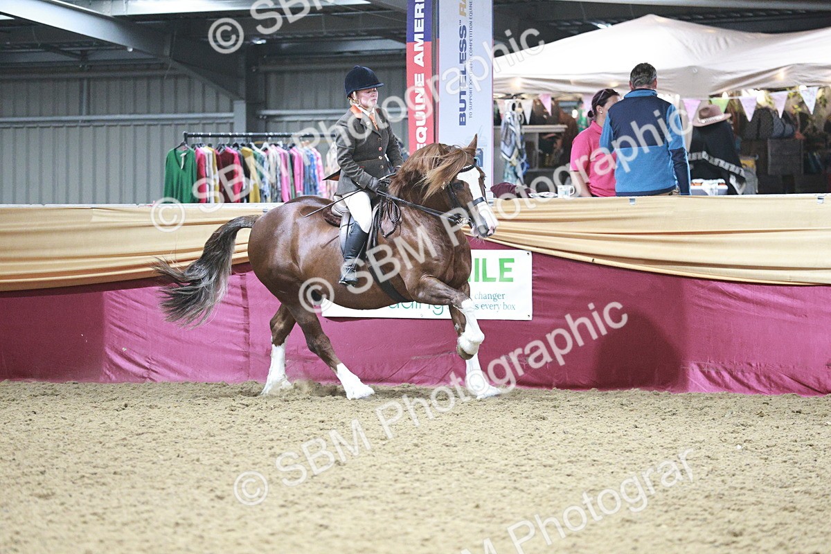 SBM_08927 - Class 12R - Regional Ridden Pre-Vet