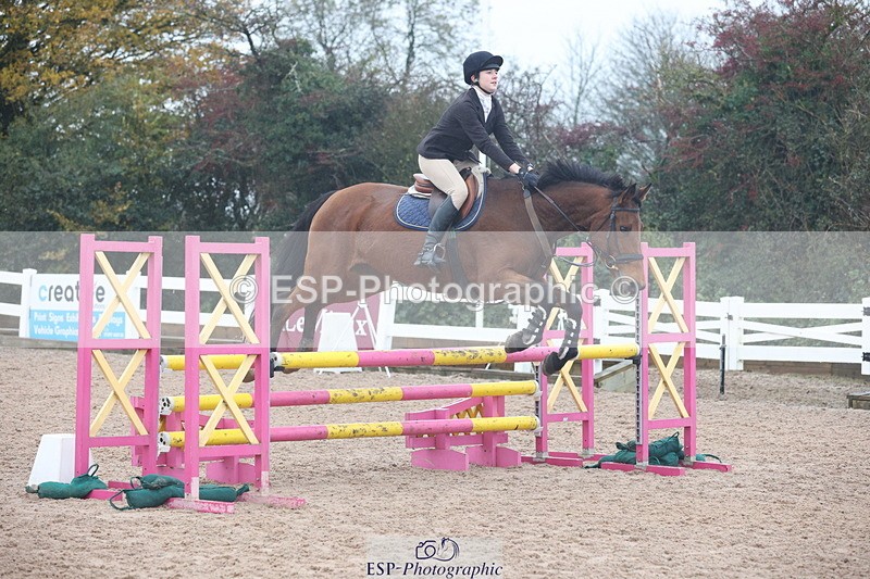 231112A-102016-03303 - Cls 17 Blue Chip Novice Winter Qualifier