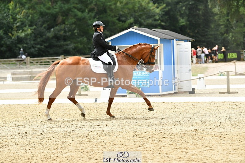 250718A-140711-01988 - 068-Stacey.Escrig-JOIE.DE.VIVRE.III