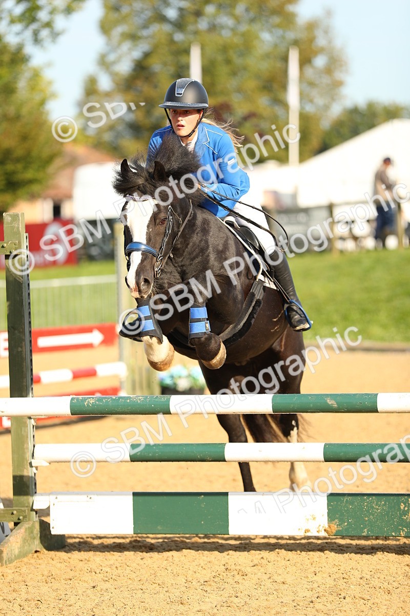 SBM_60176 - J41 - Grand Tour 95cm Championship