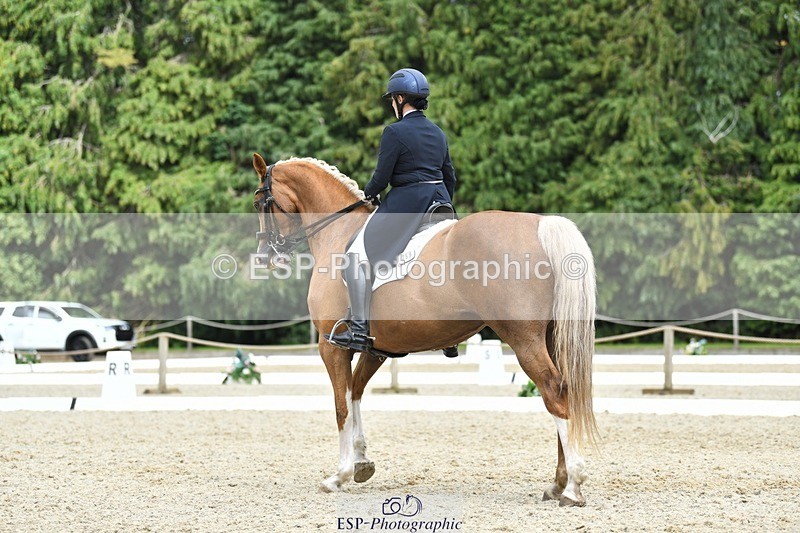 230812-144506-04790 - Cls 7 FEI PSG Bronze