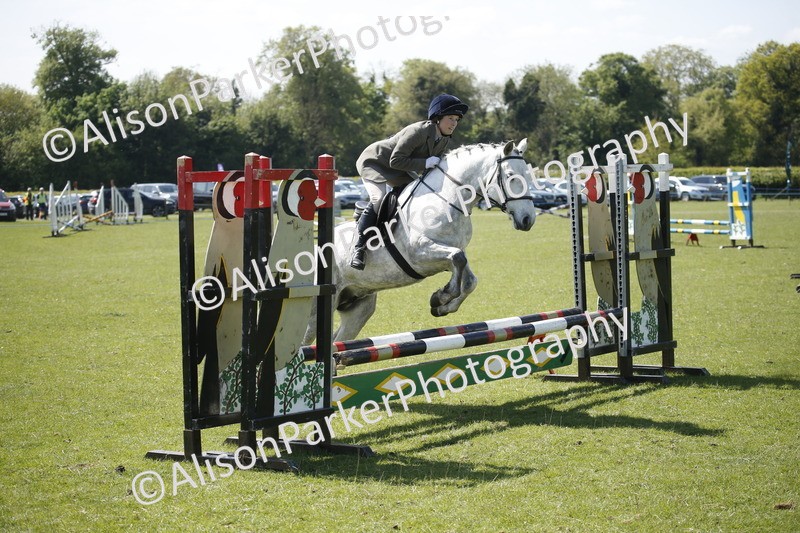 20250427-2297 - Class 13 - Novice Jumping 60cm