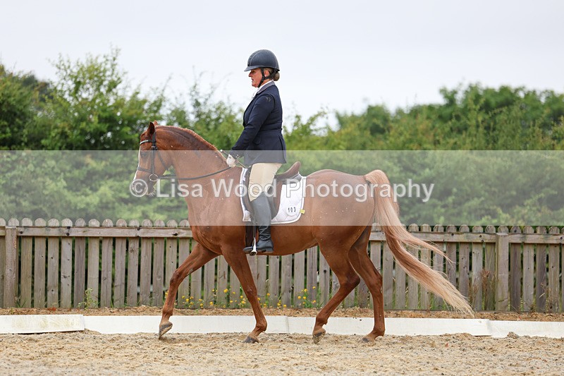 3E7A7893 - Class 1: Intro 3 2024 section A