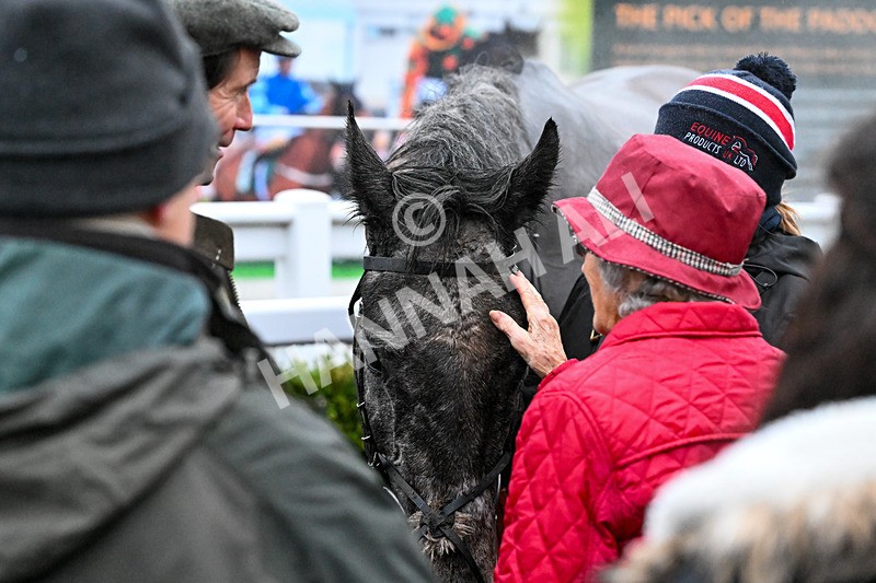 300126-Race 6-Born In The West-0084 - Race 6