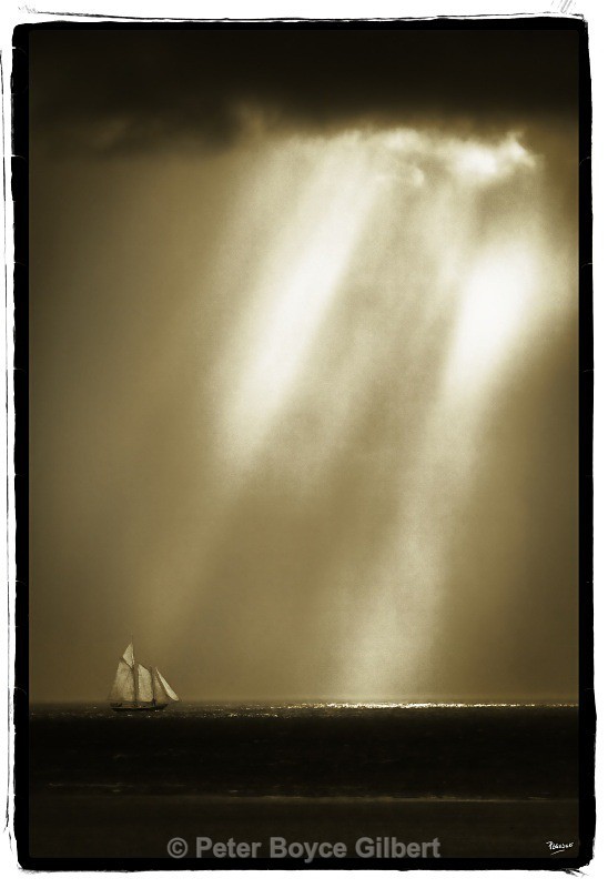 Into the light. - The Coast