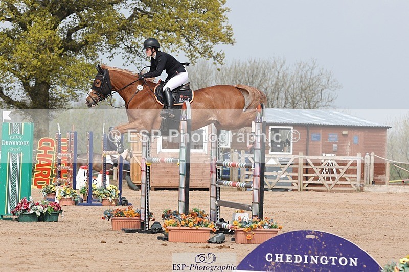 250424-110339-03362 - Cls 33 Young Horse 7yr old