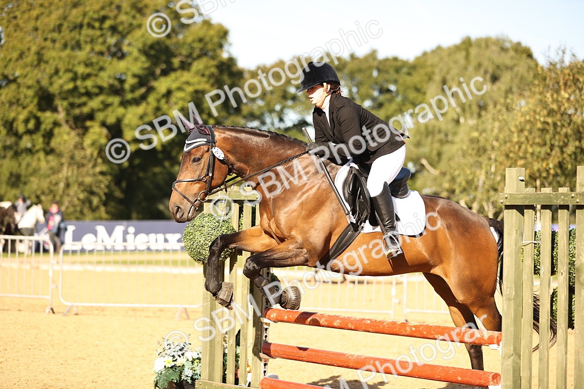 SBM_35148 - J38 - Senior 80cm Championship