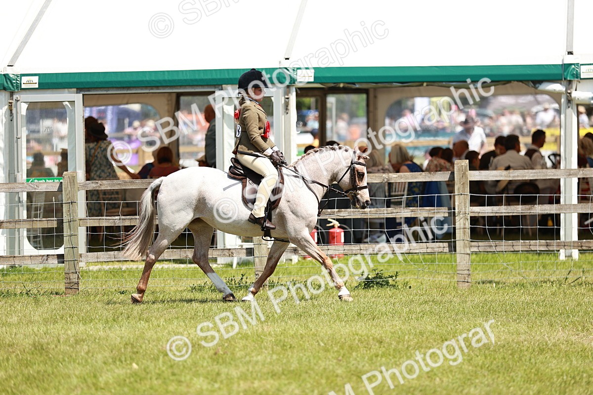 SBM_15780 - Class 108-109 - BSPS LIHS Open Gradle & Nursery Stakes