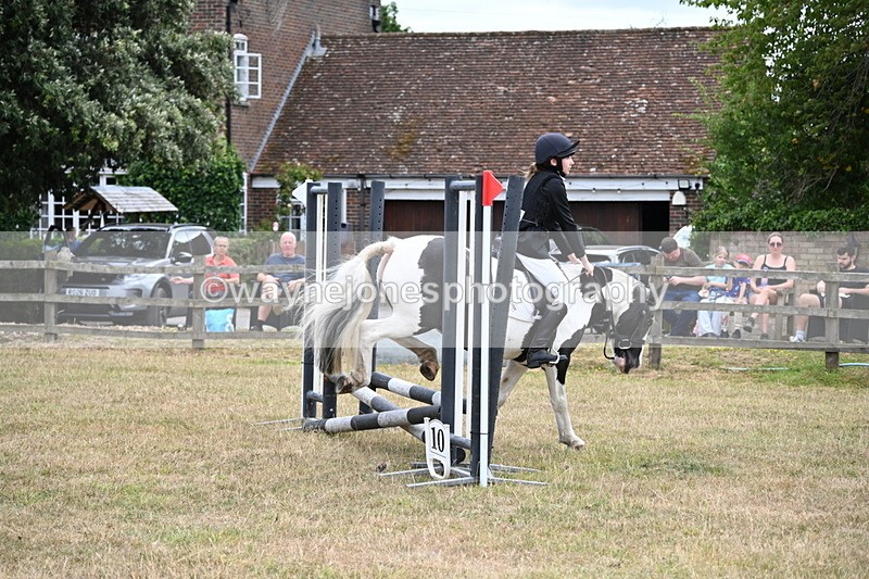 WJ6_5300 - Class 12 Minimus Jumping 45cm