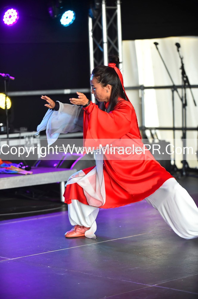 SH4_1483 - Tai Chi with Lisa Kay.
