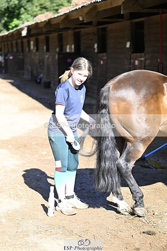 240728B-092302-00002 - Sunday Stable Shots and Fancy Dress