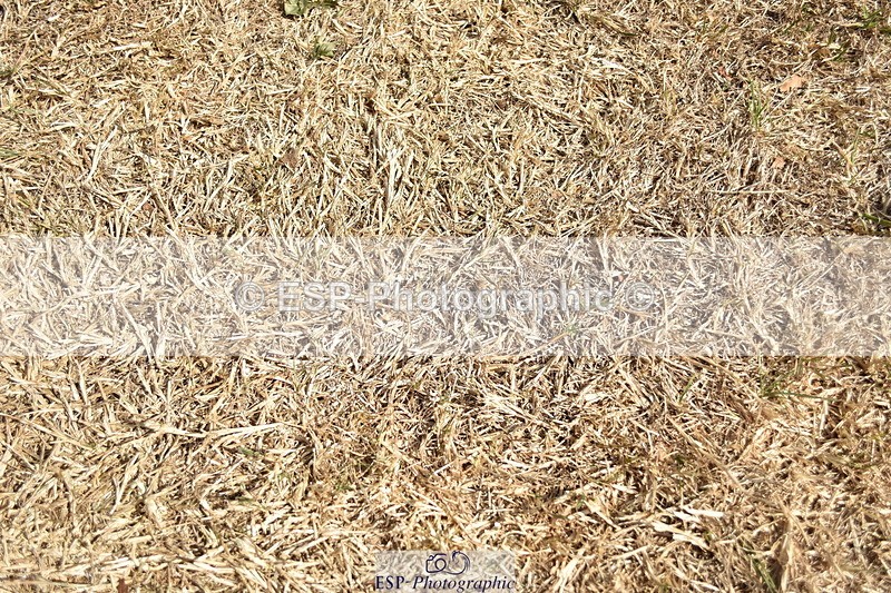 250824A-141032-37111 - PC70 Presentations