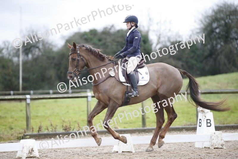 20260127-0282 - Class 16 - BD Novice 2