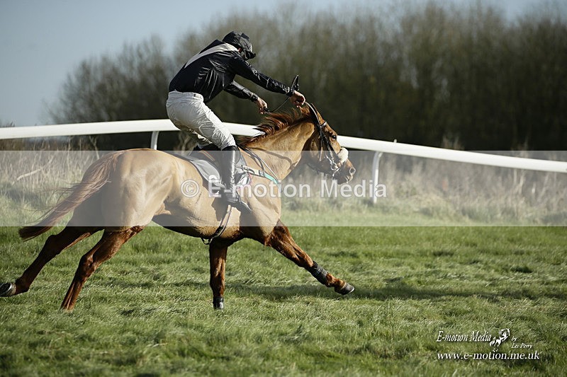 PtP 281121 0163 - Hursley Hambledon Point-to-Point Larkhill 28/11/21