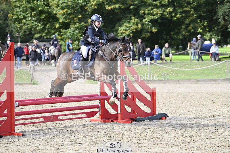 251005A-123919-03866 - Cls 08 Mini 70-75cm