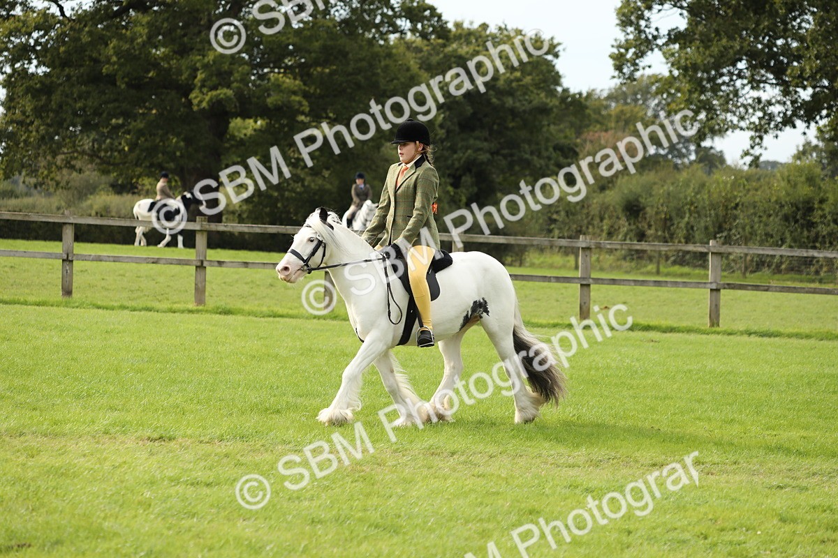 SBM_71509 - S41 - Ridden Equitation (Best Rider)