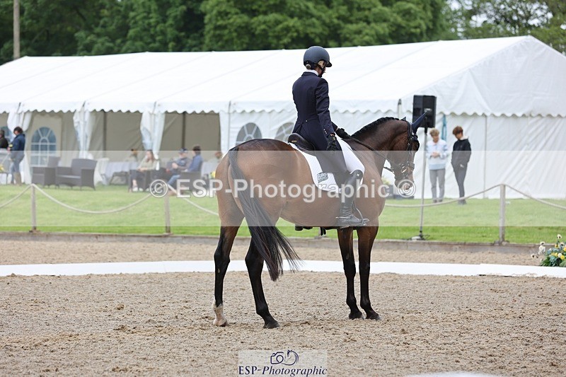 240523-104519-03397 - 214-DSH_GOLDEN_EYE-Lucinda_Mesquita