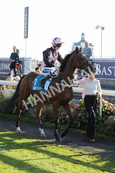 yr08102022r6-4 - Race 6 4.25pm The Watch Racing Online Free With Coral Handicap Stakes