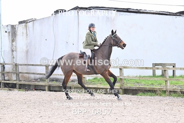 BPP_6857 - RING 1  (RIDDEN HORSES / IN HAND / VETERAN ETC)