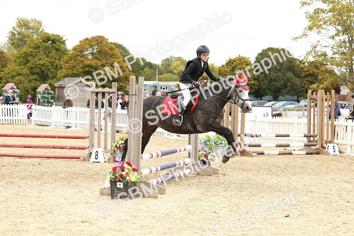 SBM_65262 - Supreme Championship 50cm & 55cm