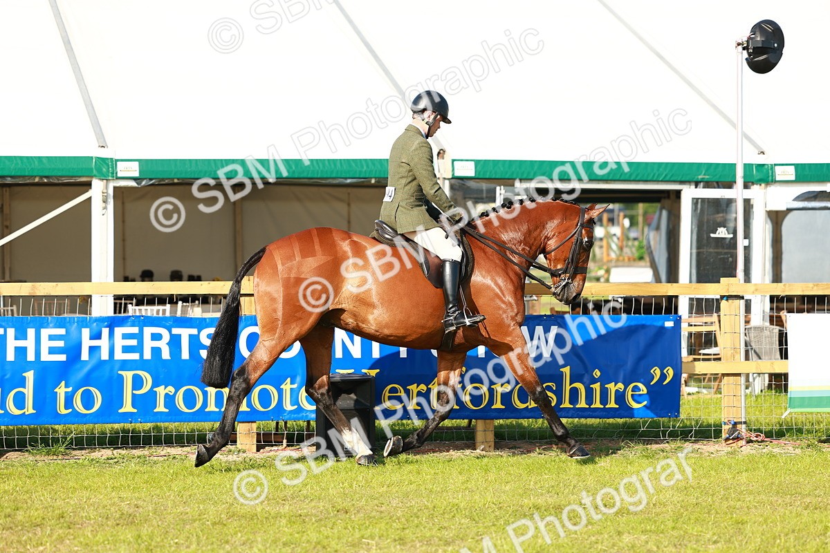 SBM_10719 - Class 66-69 - RIHS Ridden Hunters Inc Small Hunter