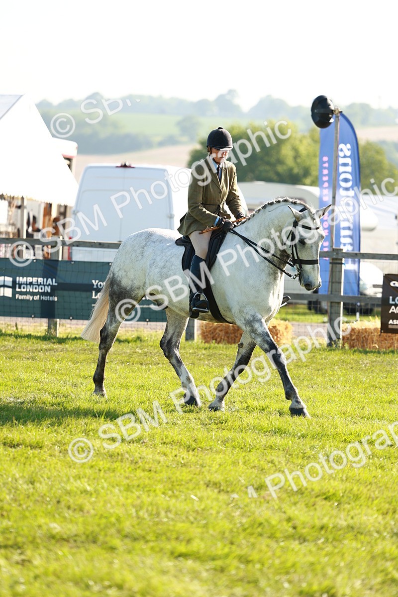 SBM_10753 - Class 66-69 - RIHS Ridden Hunters Inc Small Hunter
