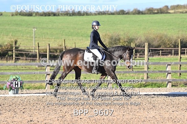 BPP_9607 - SHORT ARENA PRELIM 3