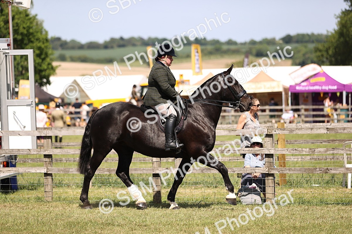 SBM_17828 - Class 81-83 - TSR Ridden Amateur of the Year - Horses